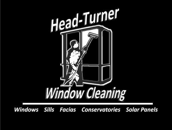 Head-Turner Window Cleaning