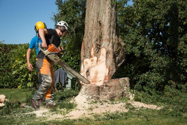 Eden Tree & Hedge Care Ltd