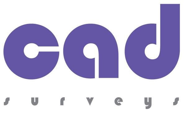 Cad Surveys Ltd