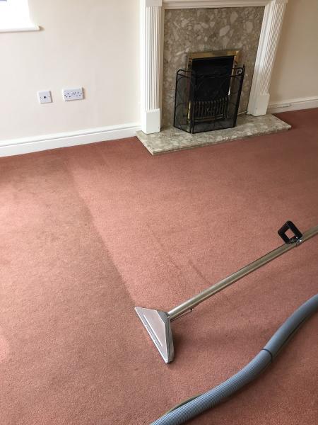 The Bee's Knees Carpet and Upholstery Cleaning