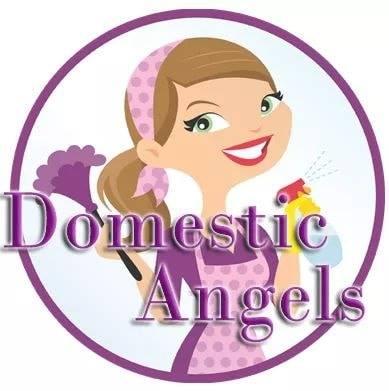 Domestic Angels