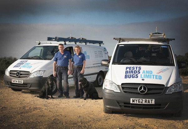 Pests Birds and Bugs Ltd