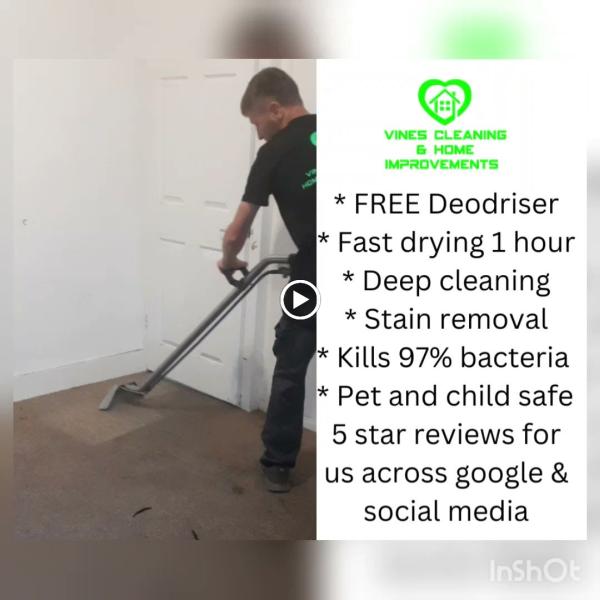 Vines Cleaning & Home Improvements