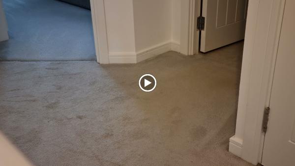 Vines Cleaning & Home Improvements