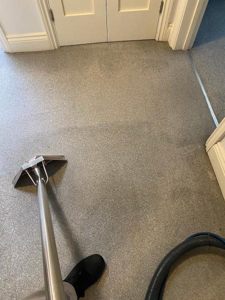 Avance Cleaning