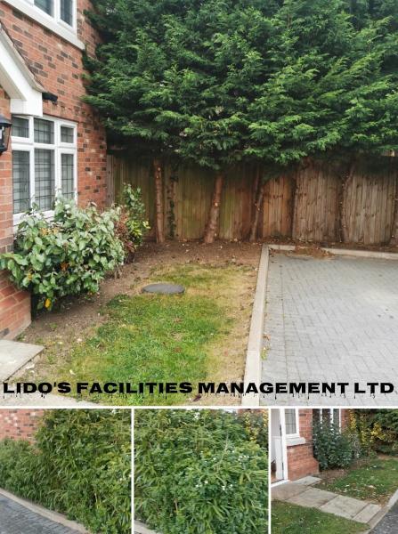 Lido's Facilities Management Ltd