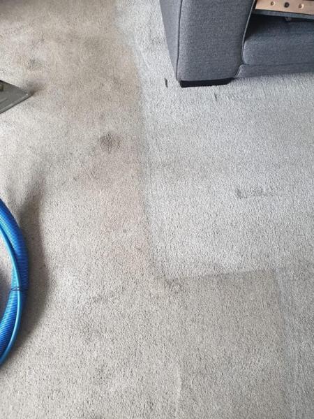 Complete Carpet Clean