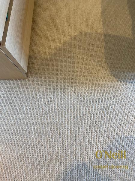 O'Neill Carpet Cleaning