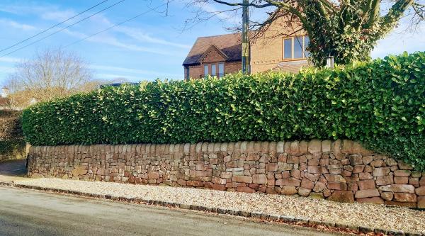 Staffordshire Dry Stone Walling