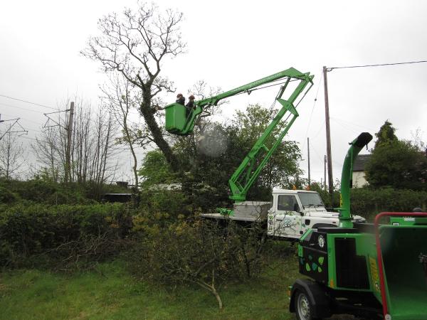 Branching Out Tree Services