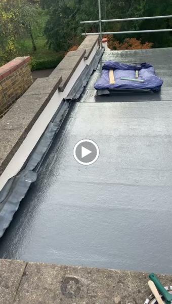 Ants Roofing