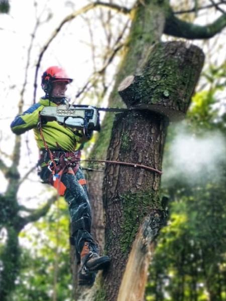 Woody's Tree Services