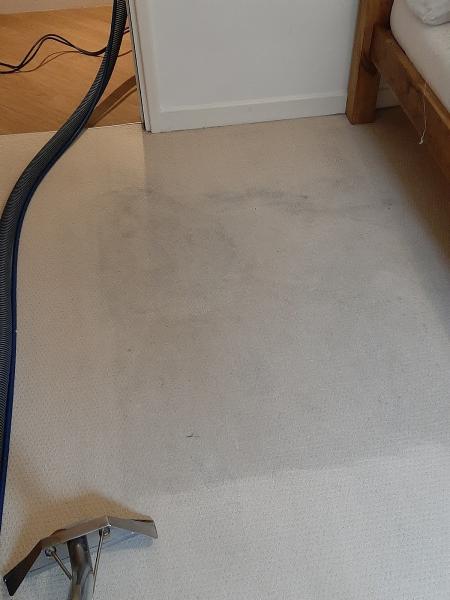 Newlyn Professional Cleaning Services