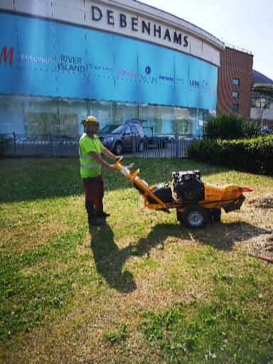 Hamko Gardening