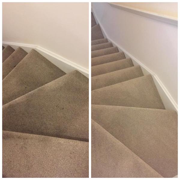 Elite Upholstery Care
