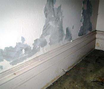 London Damp Proofing