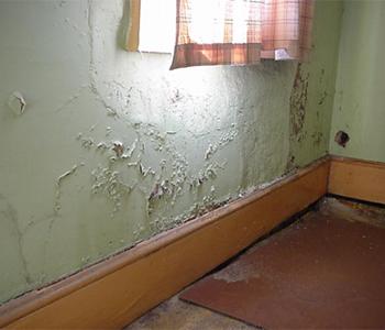 London Damp Proofing