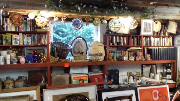 Dragon Reclamation & Groundworks