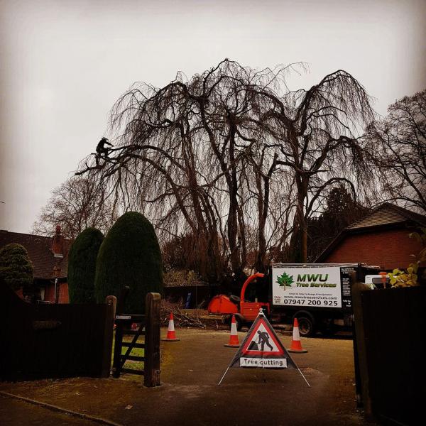 MWU Tree Services