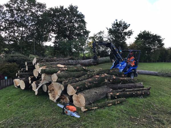 Marrick Tree Care & Firewood Supplies