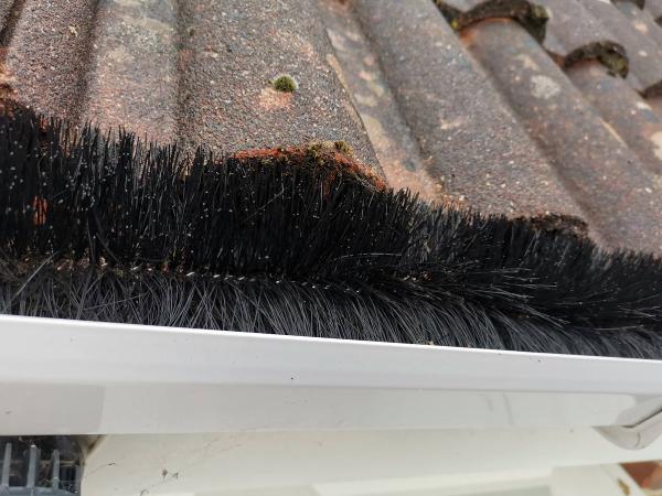 Edward's Gutter Cleaning