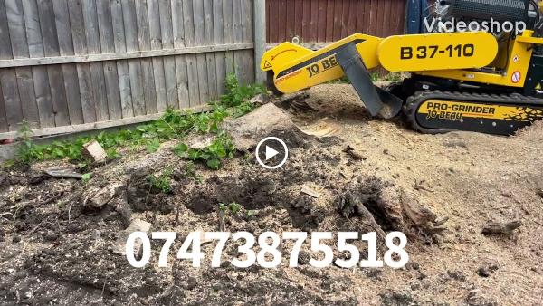 Stump Grinding and Wood Chipper Services