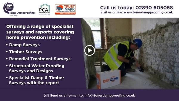 Toner Damp Proofing Ltd