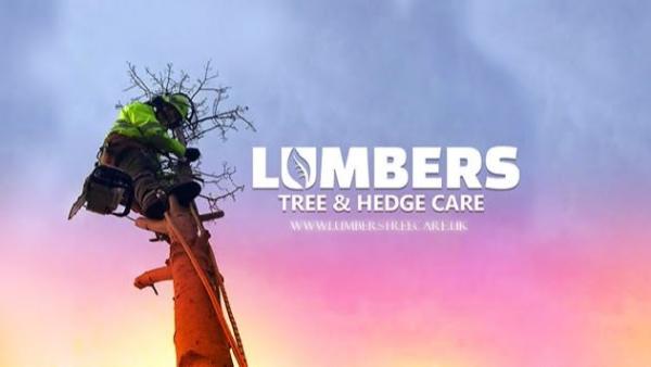 Lumbers Tree & Hedge Care