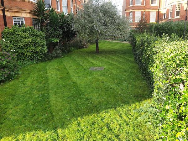 Pearson Garden Services