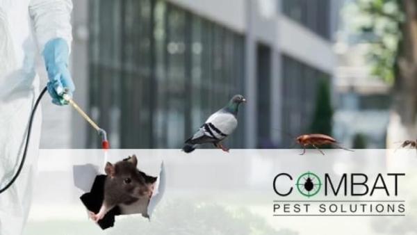 Combat Pest Solutions Ltd