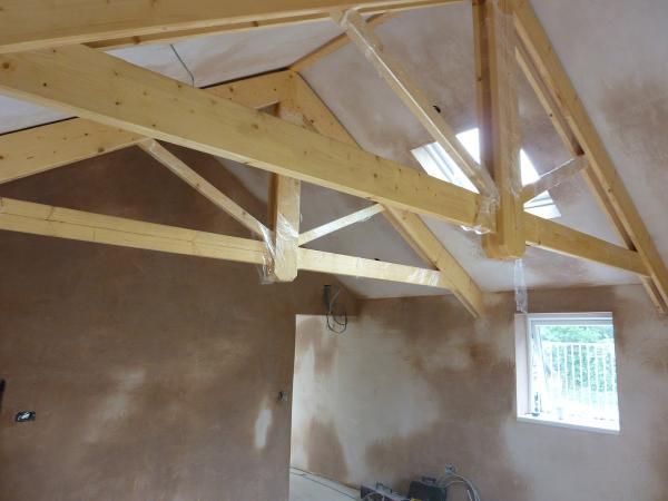 Luke Sheldon Plasterer