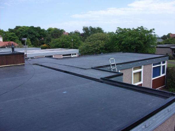 Buckley Roofing Services