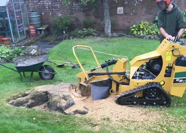 Wilmslow Tree & Stump Removals/Wilmslow Tree Surgeon