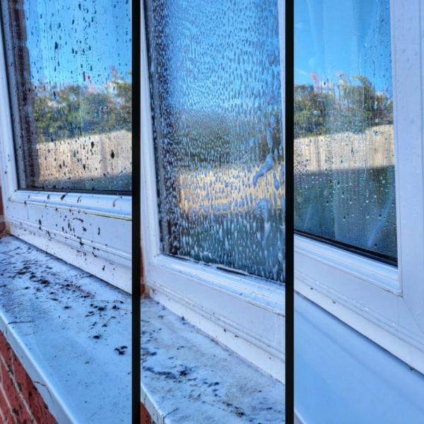 Window Pal Pure Water Cleaning Solutions