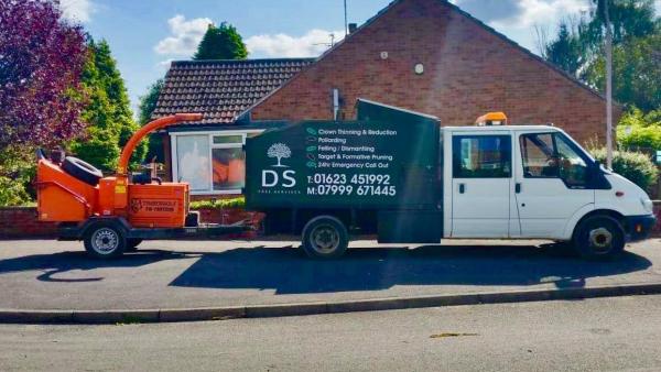 DS Tree Services