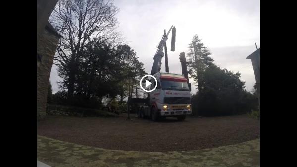 Thwaites Tree Care