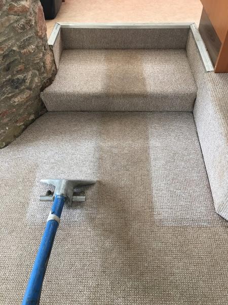 Adrian's Amazing Carpet Cleaning