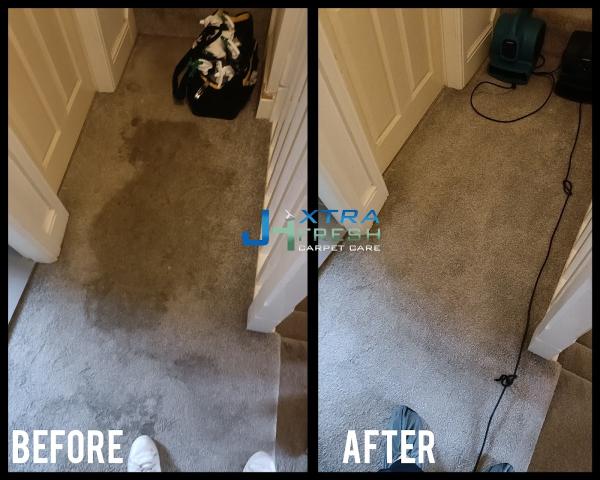 Xtrafresh Carpet Care