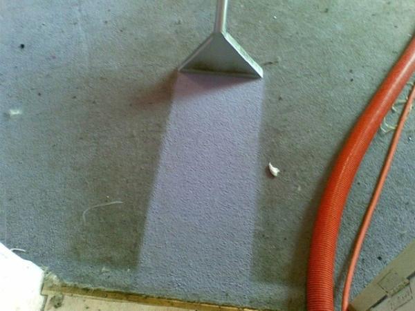 Wm. Friel & Son Carpet Cleaning