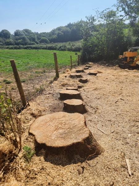 GMK Stump Grinding