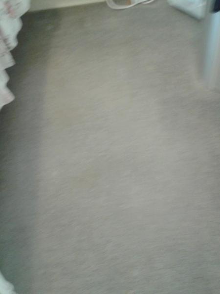 JP Carpet Cleaning