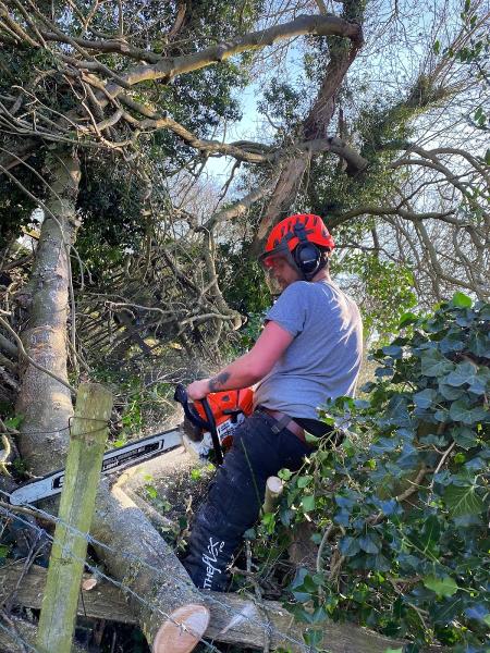 Gozzett Tree Surgery & Land Management Ltd