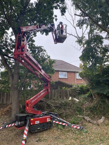 Wincanton Tree Care