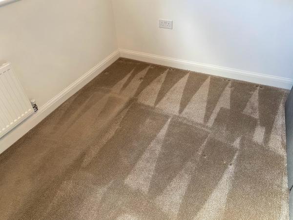 Five Star Carpet Care