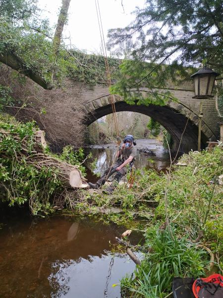 North Cheshire Forestry Tree Surgeon and Stump Removal High Peak