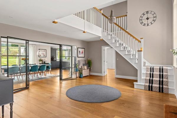 Bluetongue Construction