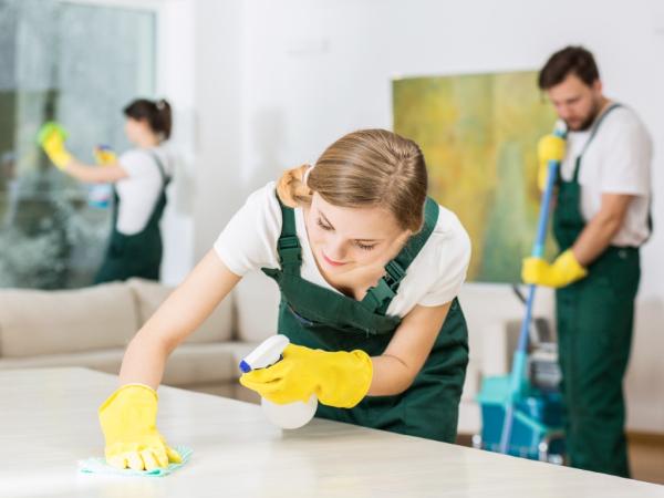 AA Cleaning Services Southend Ltd