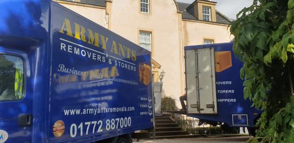 Army Ants Removals & Storage