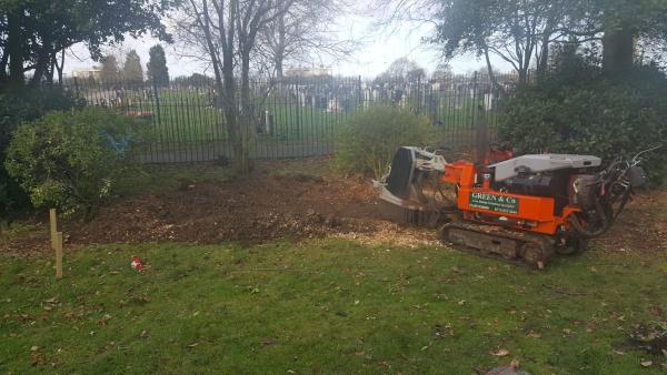 Green & Co Tree Stump Grinding