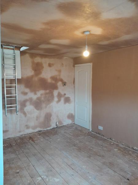 Ace Plastering Solutions